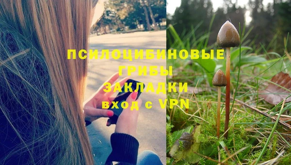 спиды Кинешма