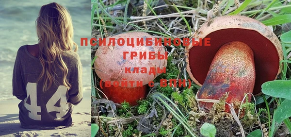 спиды Кинешма