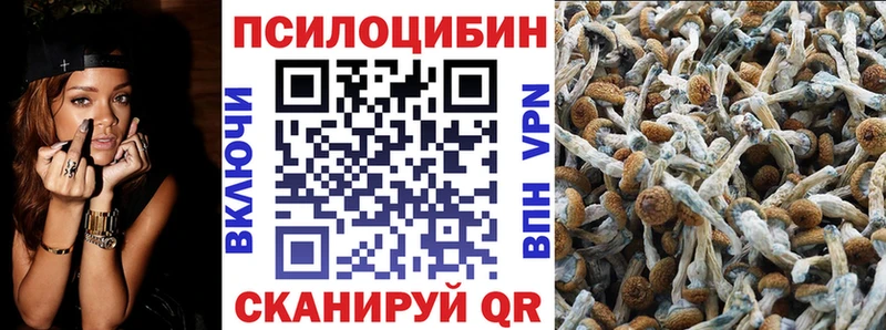 Купить  Саки  Галлюциногенные грибы прущие грибы 